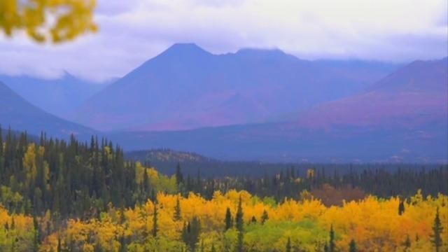 cbsn-fusion-climate-change-sparks-alaska-farm-boom-thumbnail-1476571-640x360.jpg 