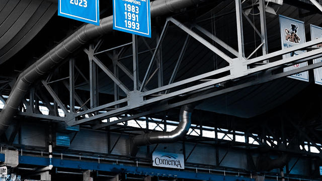 Detroit Lions banners 