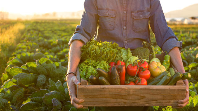 Man holding crate ob fresh vegetables 